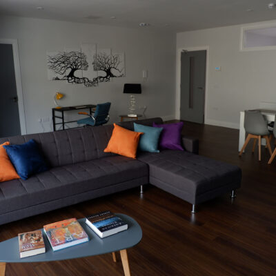Monaghan Street Apartments   Living Room