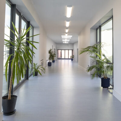 Cellbridge Corridor with Plants
